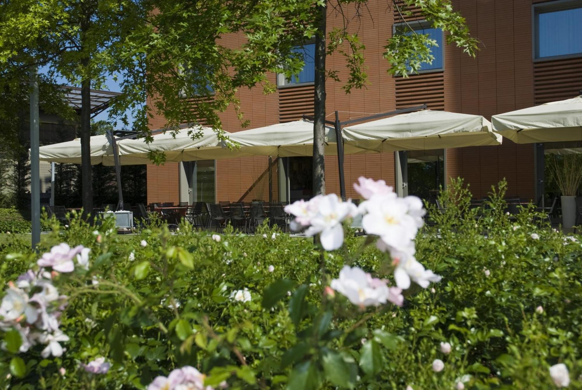 Hotel Cruise Montano Lucino Exterior photo